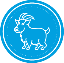 Qurbani 2025