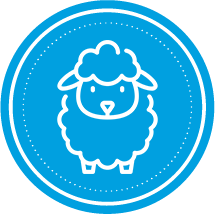 Gaza Qurbani